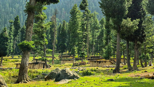 Kashmir Rural Homestay | Photography Retreat, Hidden Villages & Slow Travel